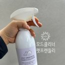 강아지 배뇨 냄새 때문에 고민하다가 찾은 바닥 세정제! 모드클리너 펫프렌들리 후기