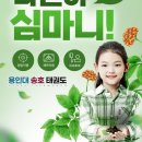 용인대 송호태권도장 이미지