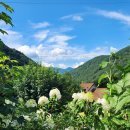 대풍원 펜션 이미지