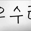 우수리 Daum카페