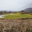 나주식당 이미지