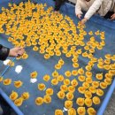 움직일 시간 | [진해군항제] 진해군항제 세모로페스타 다녀온 후기｜진해벚꽃 상태·주차·야시장 먹거리 총정리