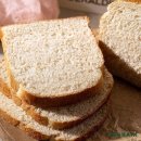 식빵이네 이미지