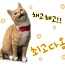 춘자네두루치기삼겹살