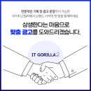 아이티고릴라 - 17756 | 아이티고릴라