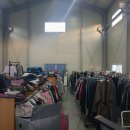 오렌지빈티지 이미지