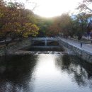 고대1081 이미지