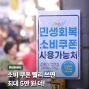 민생회복 소비쿠폰 추가 지급 이벤트 이미지