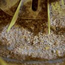 사계절자연방목농장 이미지