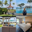 제주 반딧불 | 코타키나발루 샹그릴라 탄중아루 수영장 조식 준비물 비오는 날 반딧불 투어