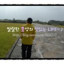신양비치민박 이미지
