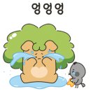 고양이별 캣 카페 이미지