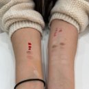 나의빛색 | 서면 전포퍼스널컬러 나의빛색, 결과보고 충격!