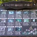 서인공원 이미지