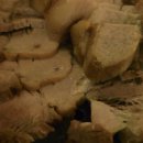 전주상회 이미지