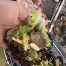 착한구이 식육식당 | [내돈내산]하동 현지인 추천 고기집 착한구이 식육식당 솔직 후기