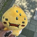 성호당약국 | 보넥도콘서트에다녀왓어요