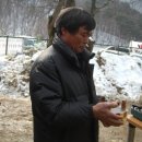 치래마을 이미지