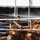 김현기농장 이미지