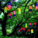청사초롱 - 영도구 절영로14번길 19 | 청사초롱