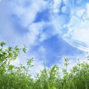 지구와환경 이미지