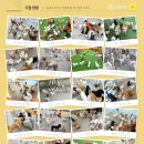 놀러오개 이미지