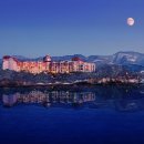 펫-오션 이미지