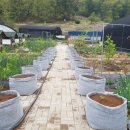 건양농장 이미지