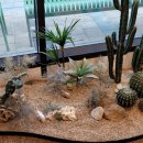 GS25 파주야당점 이미지