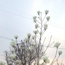 예일농장 이미지