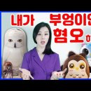 오늘의 세상 이미지