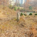 정언황 묘역 | [공지] 경주이씨 석탄공파 과천 종손 충좌위 대호군 이옥동 계대