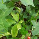 홀뫼농장 이미지