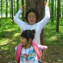 성포 초등학교 이미지