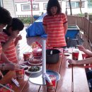 강여울 숲 이미지