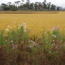 영모정 | 영모정기(永慕亭記)