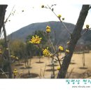 2010.03.18 정말 놀랐습니다. 이미지