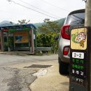 비슬산둘레길 1구간 이미지