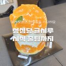 바른시루 | 대전 성심당 케이크 귤시루 시식꿀팁까지