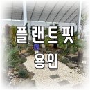 어반가드너 - 고양시 일산서구 킨텍스로 255 | 플랜트핏 용인, 키즈 가드너 클래스 및 어반리프 방문 후기