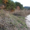 이곡1리 다목적회관 이미지