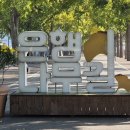 은행나무길 이미지