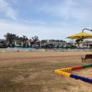 팔금초등학교 이미지