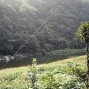 힐링주유소 이미지