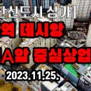 다산진건데시앙