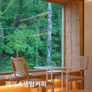 부산 기장카페 제이스생텀커피 비오는날 가기 좋은 숲뷰 북카페