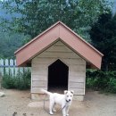 한계사슴농원 이미지