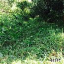 병수농장 이미지