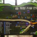 팔영산편백치유의숲주차장1 이미지