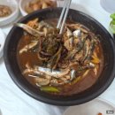 독일마을광장전망대펜션 | [2026년 7월]여행일기✍️┃남해 1편┃남해 다녀왔남해~(남해 우리식당, 브레드멜, 보리암, 남해 독일마을)